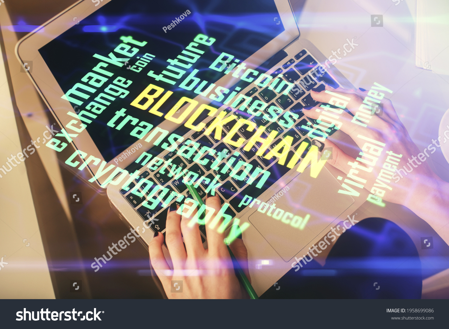 Luật c