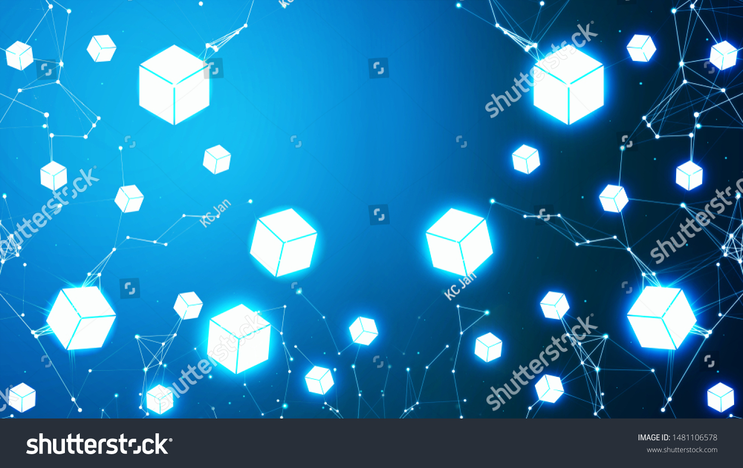 Web cá