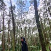 Belang