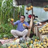 Cá độ 