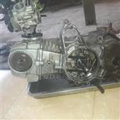 Luật r