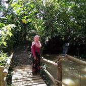 Chú Gấ