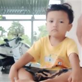 Trực t