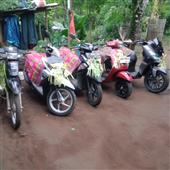 Giải v