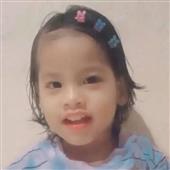 Gấu Tr