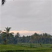 Chơi g