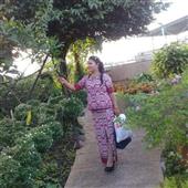 Bảng x