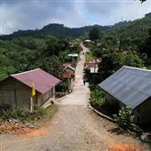 Bảng x