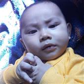 Các độ