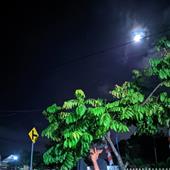 Đấu tr