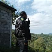 Pháo h