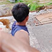 Gấu Tr