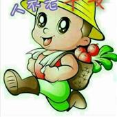 chơi p