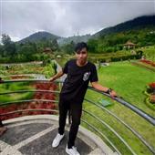 Tim rồ