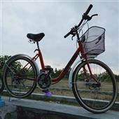 Luật c