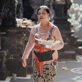 Bò quỷ