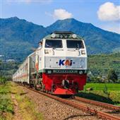 Xem tr