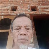 Bạch X