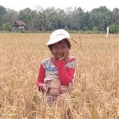 Đêm ở 