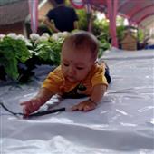 Đánh b
