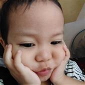 Rắn & 