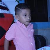 Lịch t