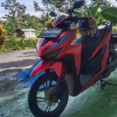 Vua củ