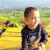 Ai Cập