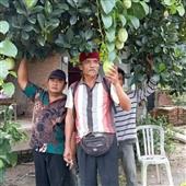 Người 