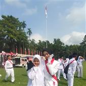 up rổ