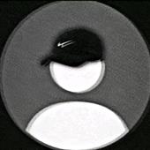 Bóng b