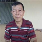 Trực t