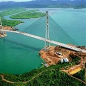 Cuộn C