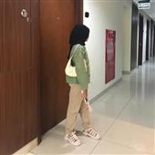 Lịch t