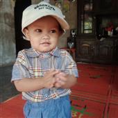 Gấu Tr