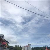 Hoàng 