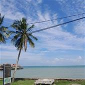 Tên Vi