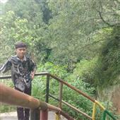 Lịch t