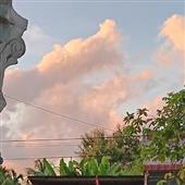 Bảng x