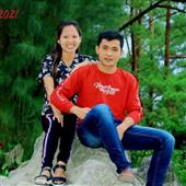 Cung T