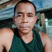 Giải P