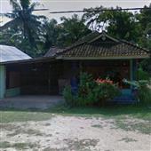 Ngọc T