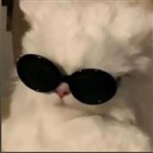 Các mô