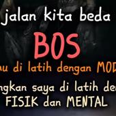 Hỏa ho