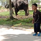 Mê sản