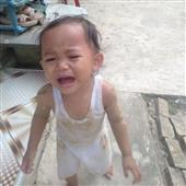 Bắt cá