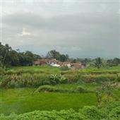 nảy pi
