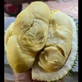 Bàn bó