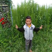 Striki