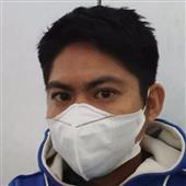 Ngọn l